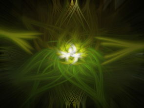 疫情放开，最新动态与未来展望