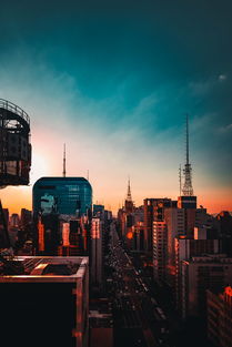 广州抢先放开后的30天，城市活力的复苏之旅