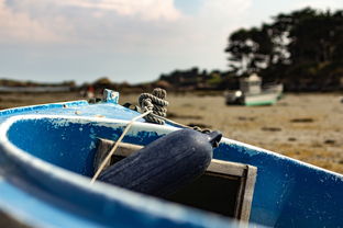 中国31省市新增本土65例,疫情动态分析与防控策略 中国31省市新增本土65例,疫情动态分析与防控策略