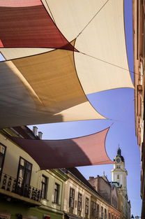 阳光板雨棚，为你的家增添一抹经济实惠的防护色彩