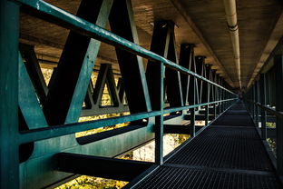 苏武传，跨越时空的语言桥梁