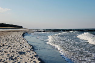 河北疫情动态，无症状感染者激增，我们如何应对？