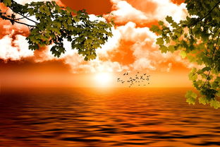 师恩难忘，用PPT传递感激之情的艺术