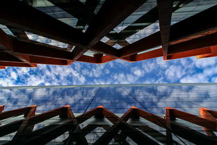 疫情动态更新，31省区市新增6例病例的深度解析