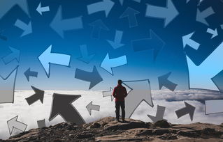 辛集疫情升级，高风险地区的生活指南与应对策略