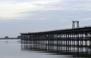 历史学科网，连接过去与未来的桥梁