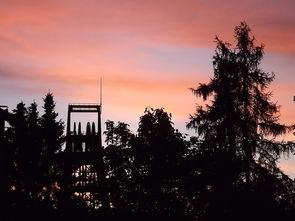 31省份新增37例本土确诊病例,疫情动态及其对我们生活的影响 31省份新增37例本土确诊病例,疫情动态及其对我们生活的影响