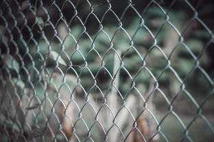 阻燃电缆与耐火电缆，安全防护的双重保障