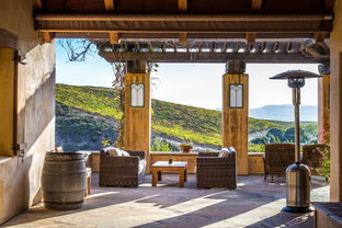 宿州水木清华，探索安徽的绿色瑰宝