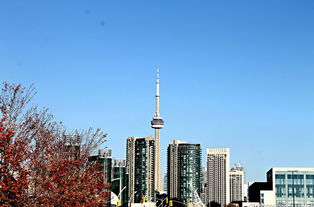 西安城中村的华丽转身，揭秘改造名单背后的城市蝶变