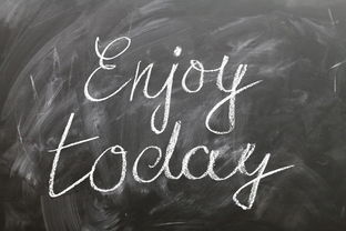 优秀作文选段，捕捉生活之美