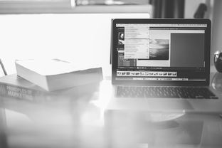 如何制作出色的计算机毕业论文PPT 如何制作出色的计算机毕业论文PPT