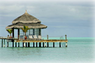 三亚椰海风情居，探索热带天堂的完美居所