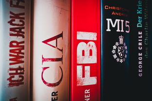 探索幼儿教育的奥秘，随笔中的洞察与启示