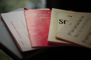 案例分析报告模板