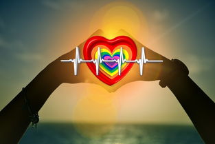 守护健康，深入了解患者十大安全目标