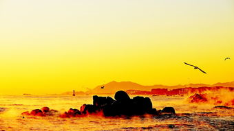 海上日出，自然之美与心灵之旅