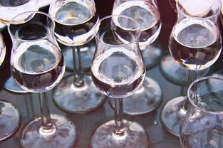 探索玻璃茶杯的魅力，图片中的艺术与实用