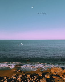 哈尔滨江北，冰城的璀璨明珠