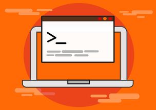 网上购物系统，技术、挑战与未来趋势