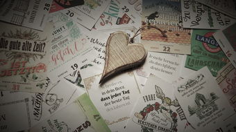 如何撰写一份出色的学生转正申请书