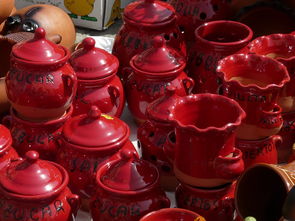 苏泊尔电炖锅，厨房里的慢炖艺术