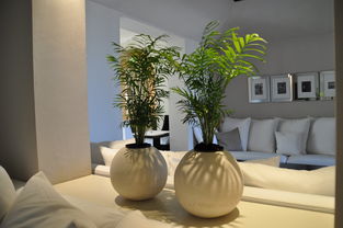 打造理想家居，推荐五款家装家具搭配软件