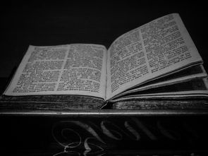 探索古典文学之美，与朱元思书教案解析