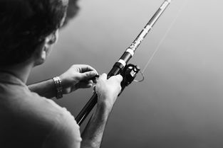 探索魔声面条耳机，音乐爱好者的时尚与音质之选