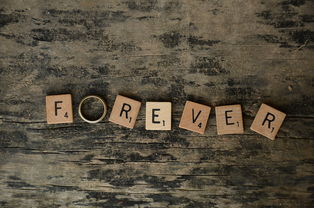 奥斯维辛，历史的沉默与永恒的回响