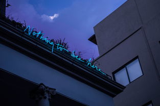 图书馆设计，打造知识殿堂的艺术与科学