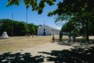 长沙富基世纪公园,一座城市中的绿色宝藏 长沙富基世纪公园,一座城市中的绿色宝藏