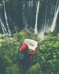 大自然的指南针，如何与自然和谐共生