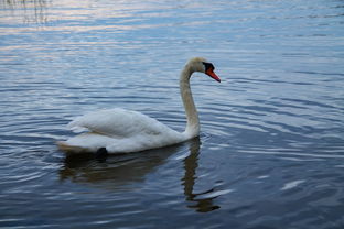选对小天鹅空调，清凉一夏不再难！