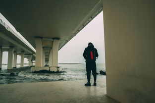 中华板材网，为板材行业架起的高效桥梁