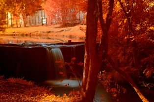 苏州园林，一幅活着的江南画卷