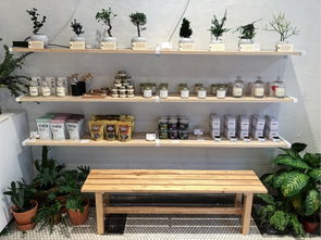 室内空气净化产品的选择与搭配 室内空气净化产品的选择与搭配