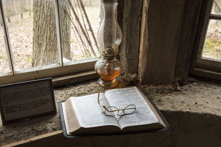 沉香木装饰的家居美学,打造自然与艺术融合的空间 沉香木装饰的家居美学,打造自然与艺术融合的空间