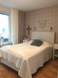 空气净化剂在室内装潢中的重要性与选择指南 空气净化剂在室内装潢中的重要性与选择指南