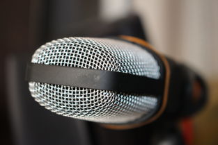 电容麦克风推荐，录音爱好者和专业人士的福音