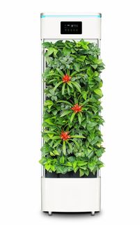 空气净化器大全，选择适合您的最佳方案