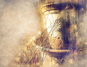 5寸相片,定格瞬间,珍藏回忆的艺术 5寸相片,定格瞬间,珍藏回忆的艺术