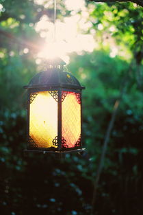 手工制作灯笼图片大全,点亮传统与创意的华灯盛宴 手工制作灯笼图片大全,点亮传统与创意的华灯盛宴