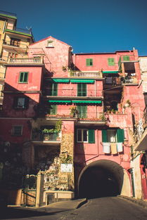 12米集装箱变身移动之家，从工业废墟到温馨住所