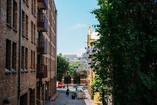 中天虹桥花园，一座让生活更美好的城市绿洲