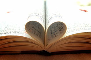 Cartier婚戒，为爱情加冕的永恒信物