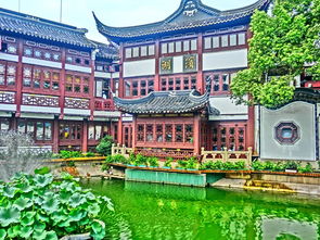 解锁创意空间,走进福州设计师的灵感家园 解锁创意空间,走进福州设计师的灵感家园