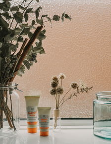 银柳的摆放艺术，如何避免家居布置中的低级错误