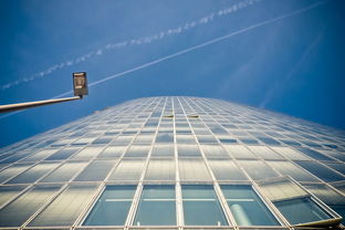 十字绣成品收购，市场动态与交易指南