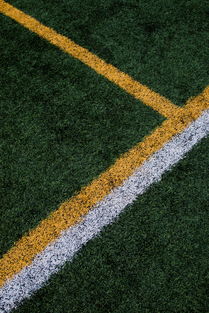 成都家庭地毯清洁，你真的了解吗？